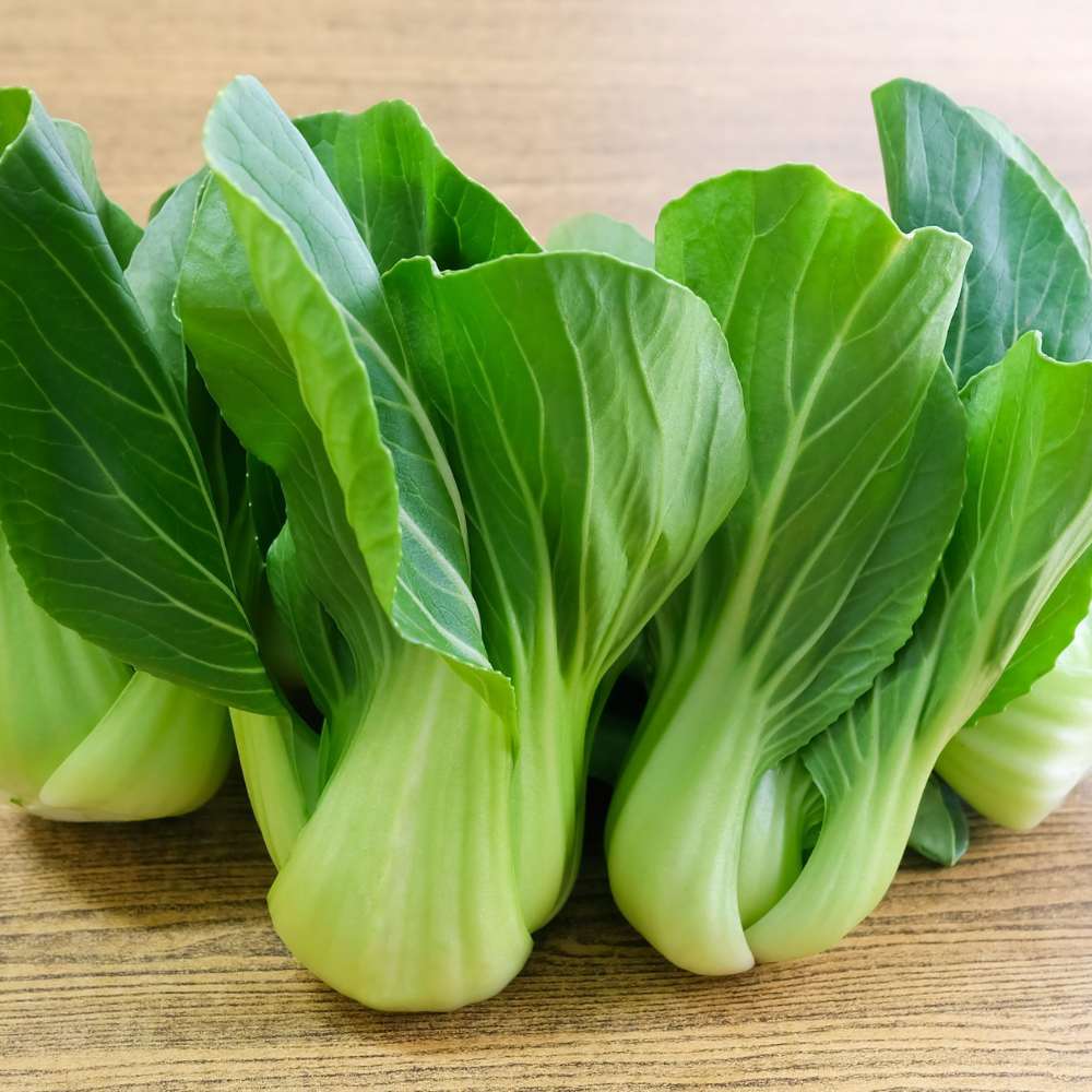 Pakchoi (Hybrid Seeds)