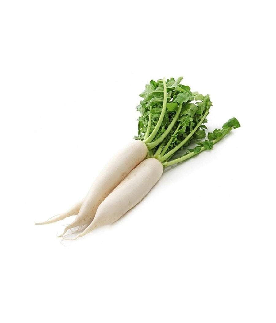 White Radish (Hybrid Seeds)