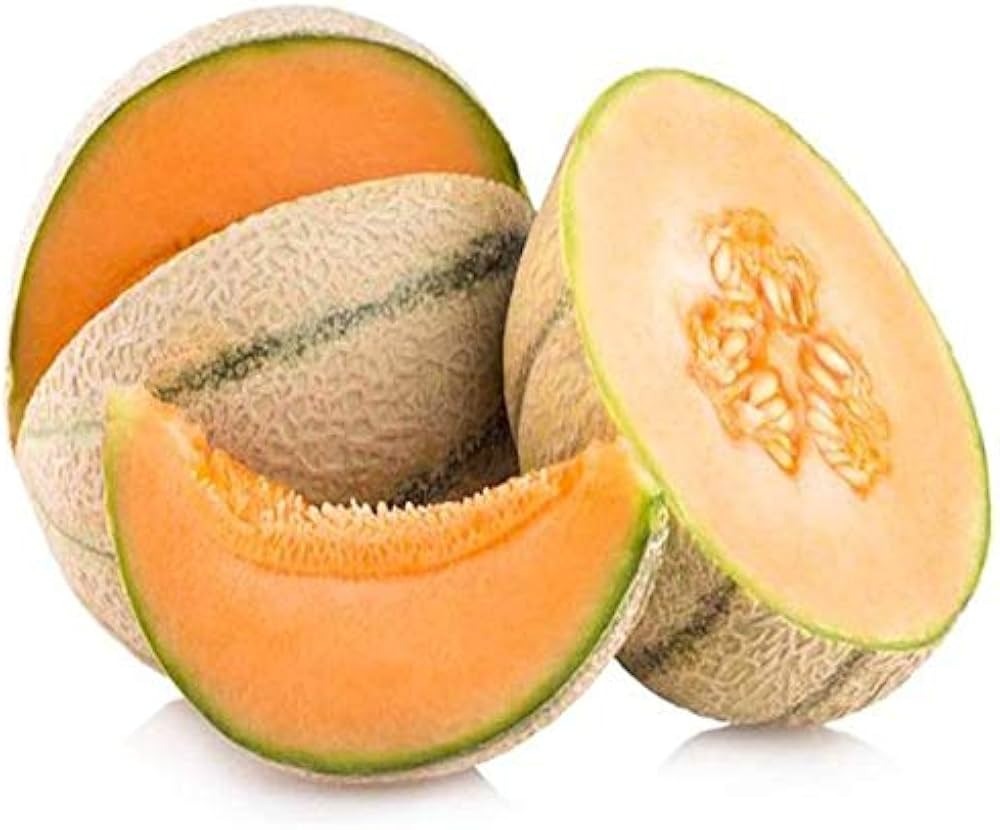 MUSK Melon (Hybrid Seeds)