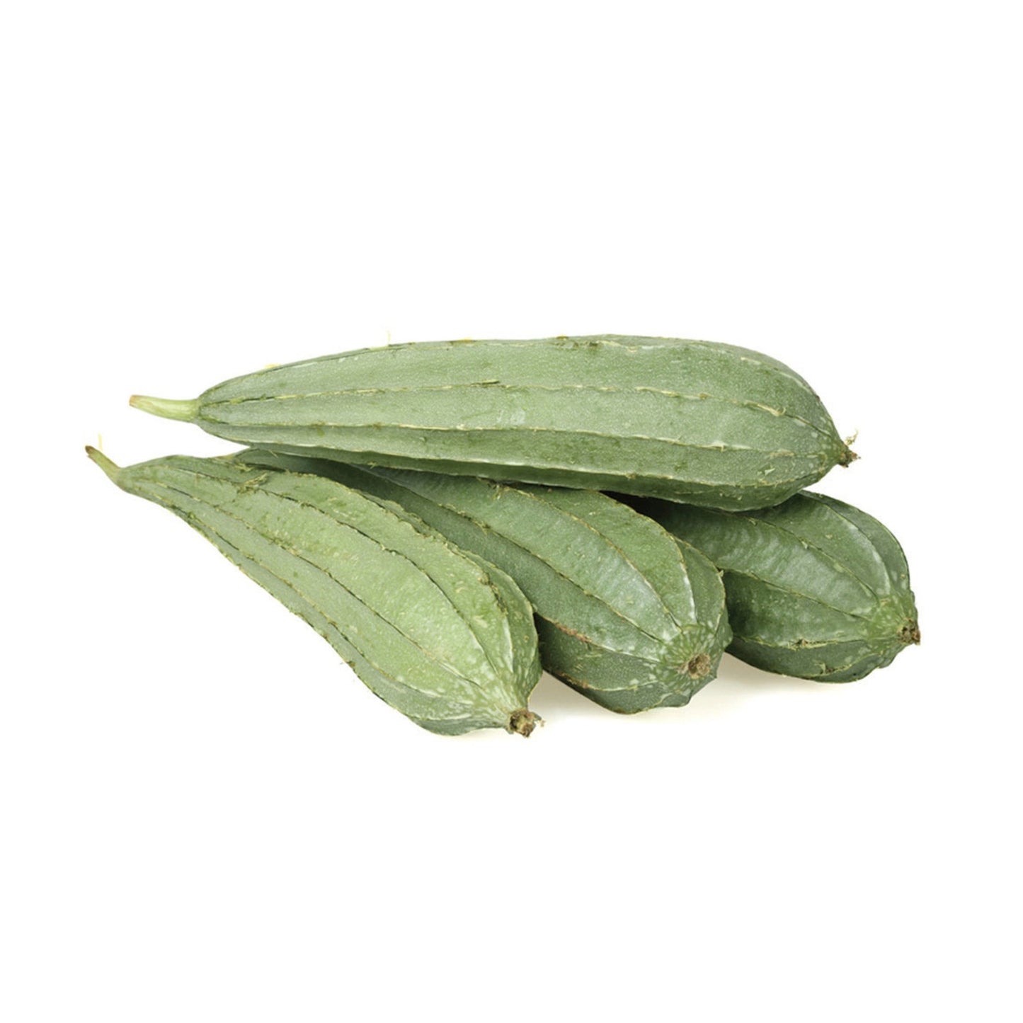Sponge Gourd (Hybrid Seeds)