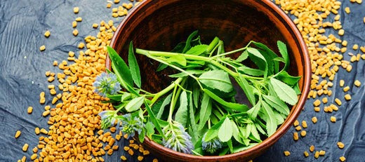 Kasuri Methi (Hybrid Seeds)