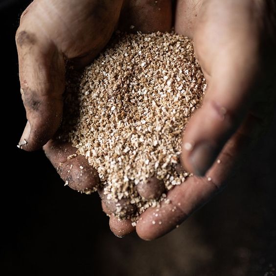 Vermiculite (Pack of 20gm)