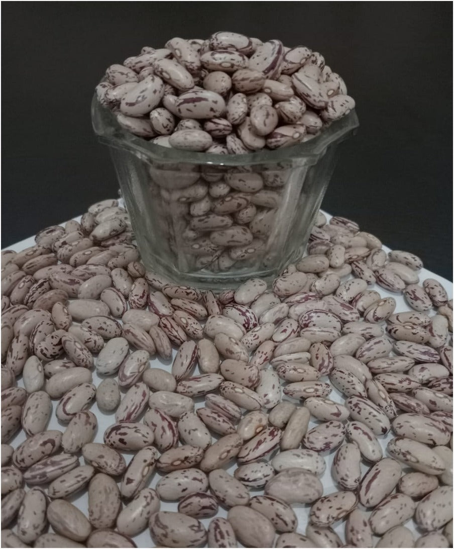 Rajma Chitra (Pack of 500 gms)
