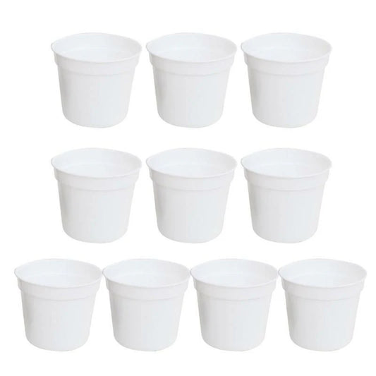 Buy white  Plastic Pots 3" (Set of 12) Online
