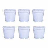 White  Plastic Pots 3" (Set of 6) Online