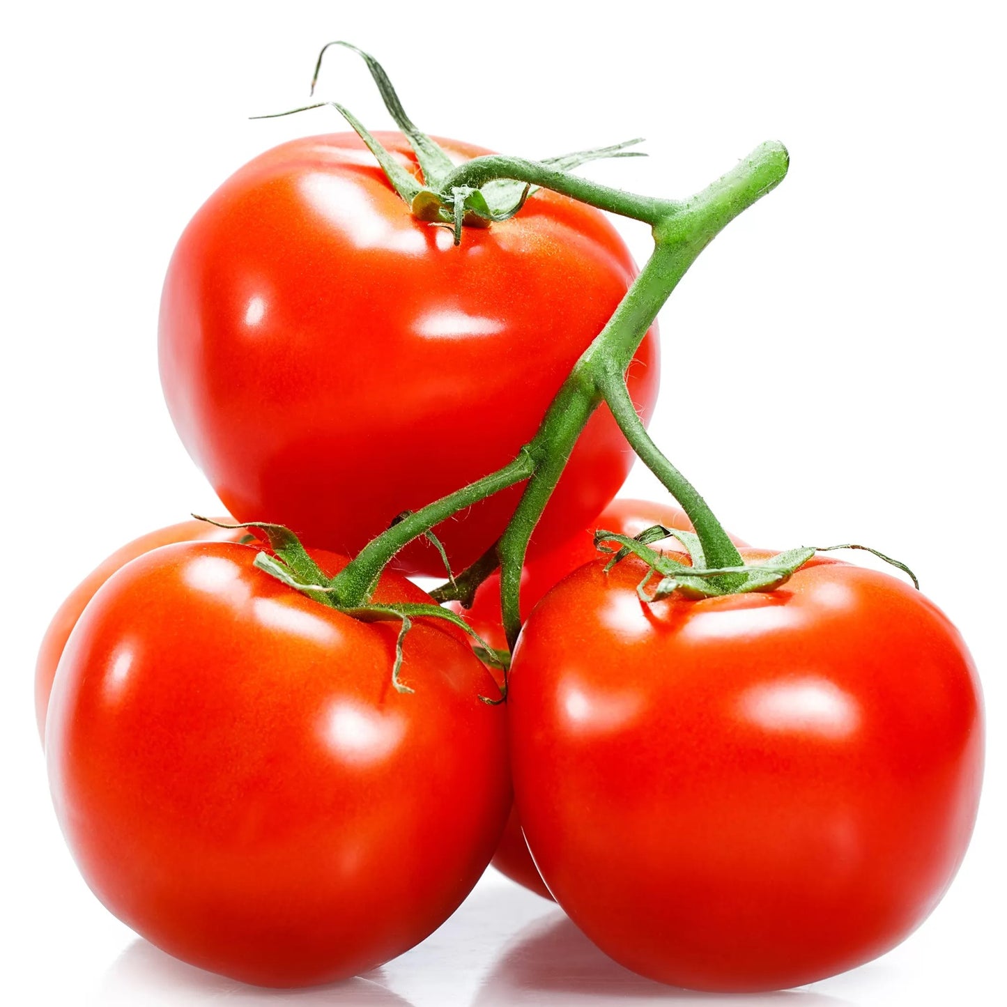Tomato (Hybrid Seeds)