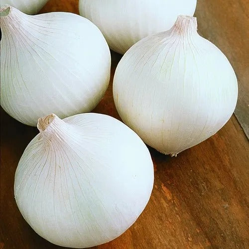 White Onion (Hybrid Seeds)