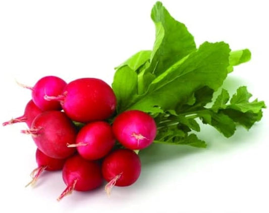 Radish Red (Hybrid Seeds)