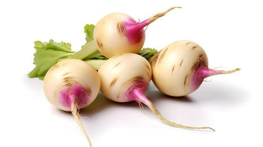 Turnips (Hybrid Seeds)
