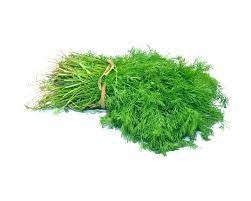 Soya Dill (Hybrid Seeds)