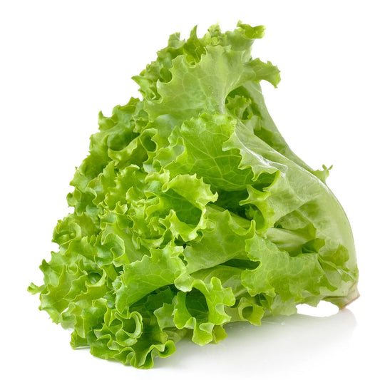 Lettuce (Hybrid Seeds)