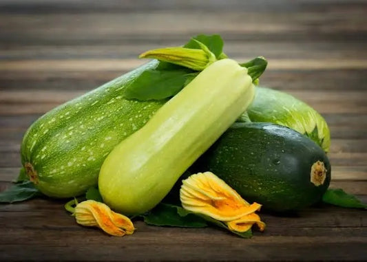 Zucchini (Hybrid Seeds)