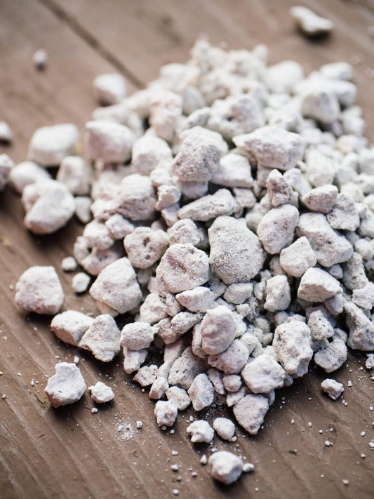 Perlite (Pack of 20gm)