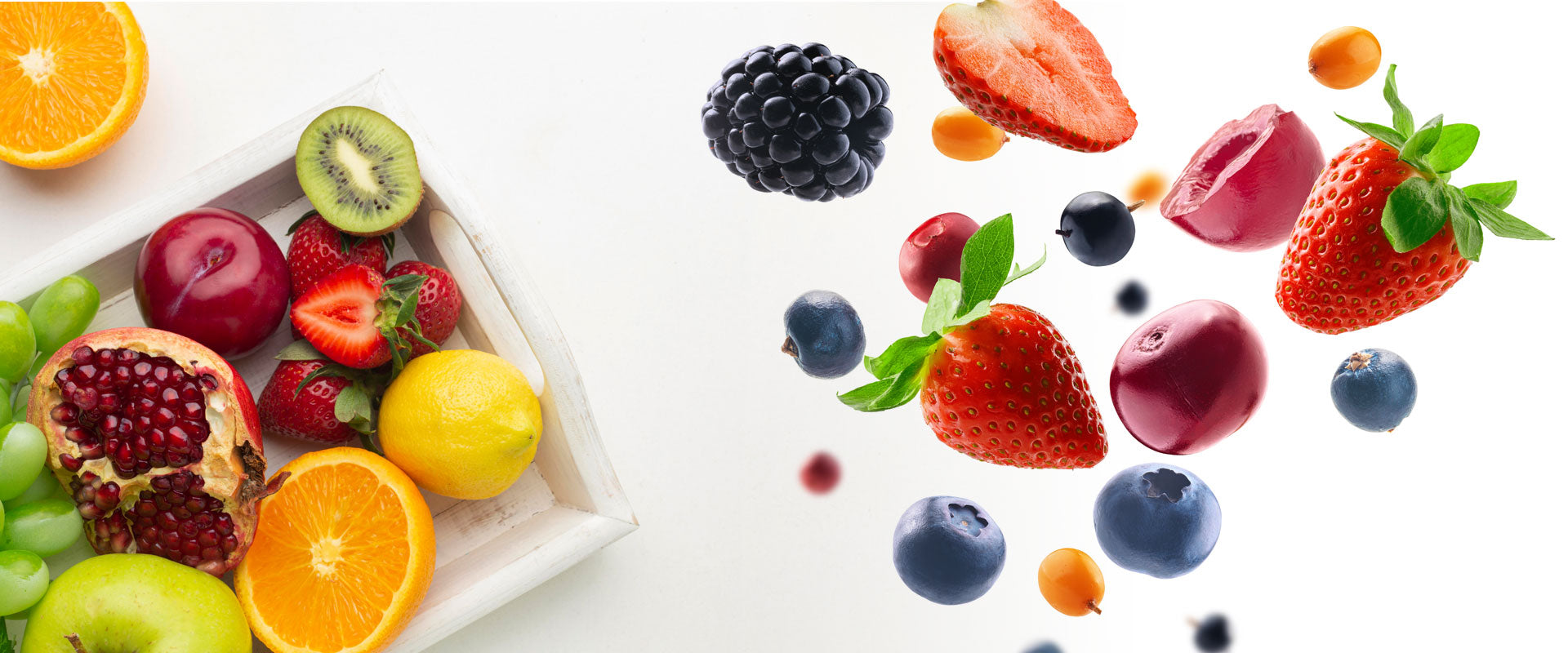 Buy Fruit Seeds Online kumaunplants