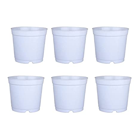 White Plastic Pots 3" (Set of 6)