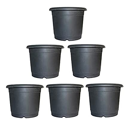 Buy Black Plastic Pots 3" (Set of 6) Online