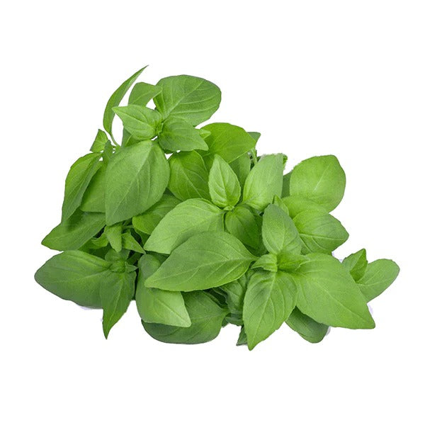 Buy Basil Lemon Herb Seeds Online PACK OF 50 SEEDS