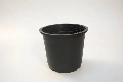 Buy Black Plastic Pots 4" (Single) Online