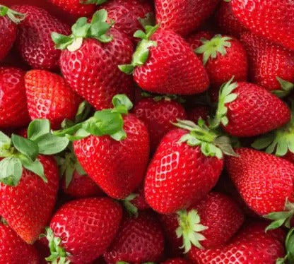 Strawberry F3 HYBRID SEEDS (80 SEEDS)
