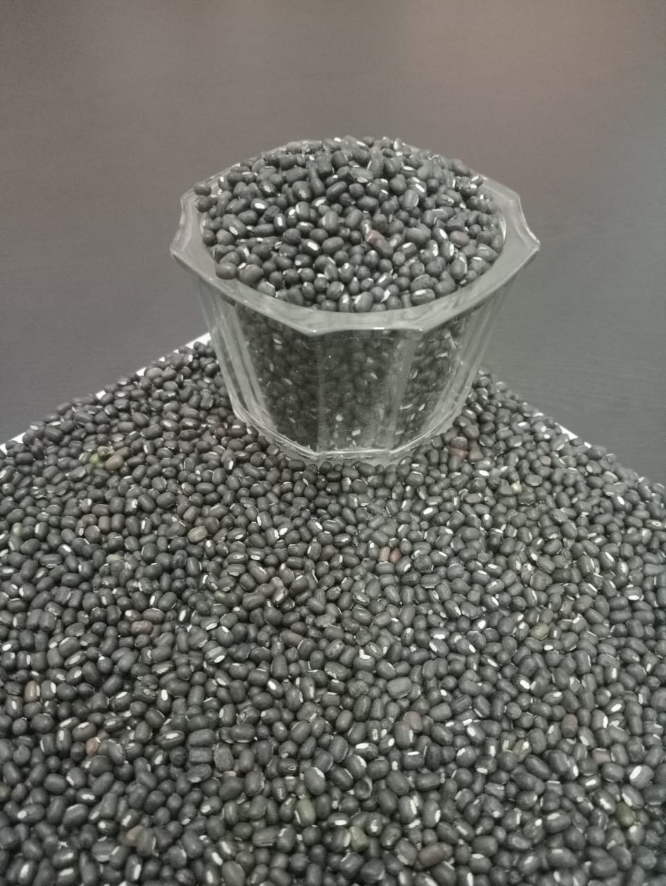 Umrad Urad Whole (Pack of 1 Kg) – Kumaun Plants
